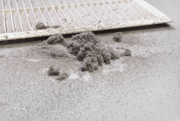 Best Professional Duct Cleaning Services  in Fall River, MA